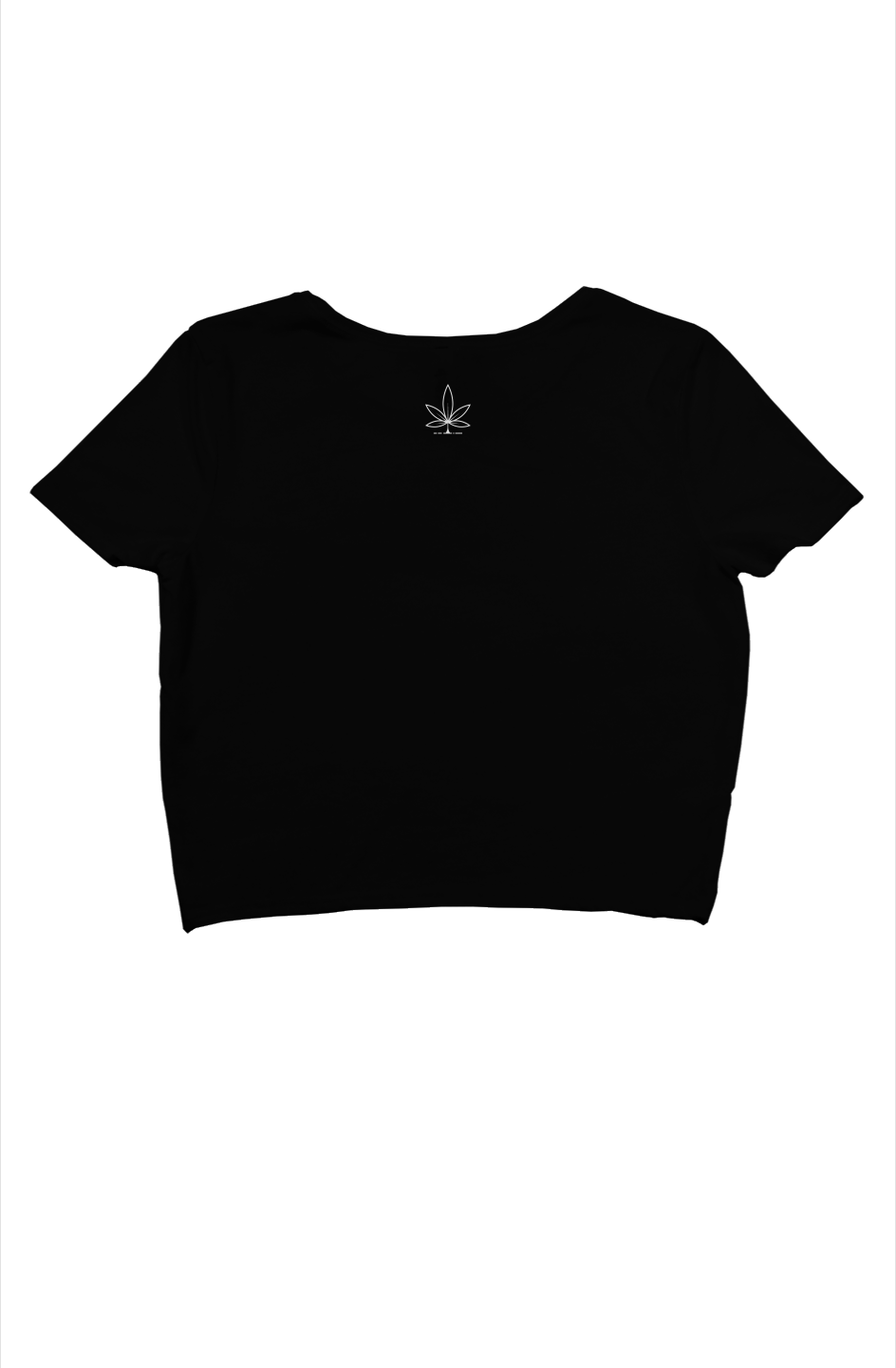 crop tee 3